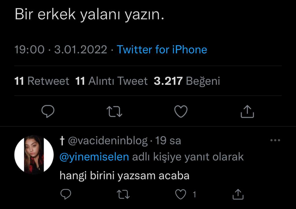 Bir Erkek Yalanı Yazın Dedi Ve